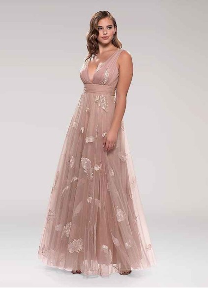 Blush Mark Lost In Paradise Blush Embroidery Tulle Maxi Dress